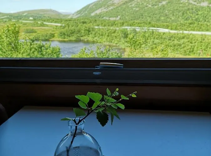 Davvi Siida - Reindeer Design