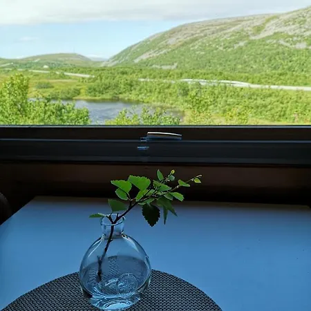 Davvi Siida - Reindeer Design